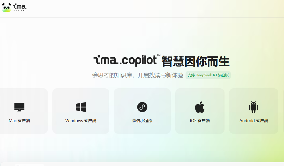 ima.copilot